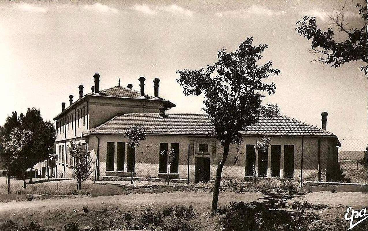 Vialar 607.jpg